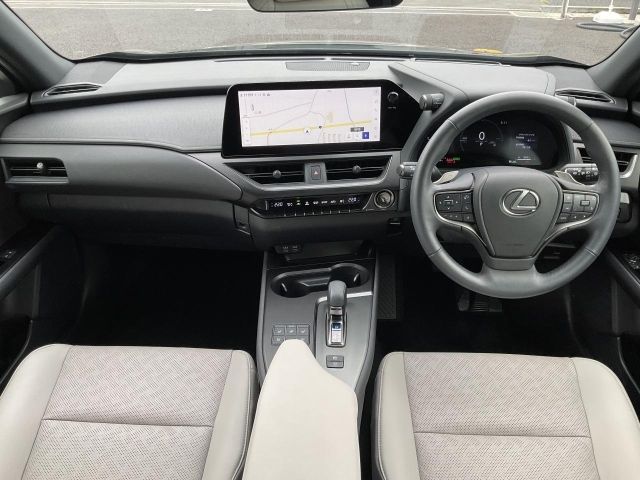 LEXUS UX300h