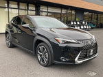 LEXUS UX300h