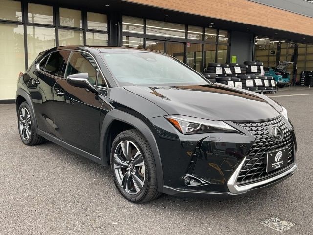 LEXUS UX300h