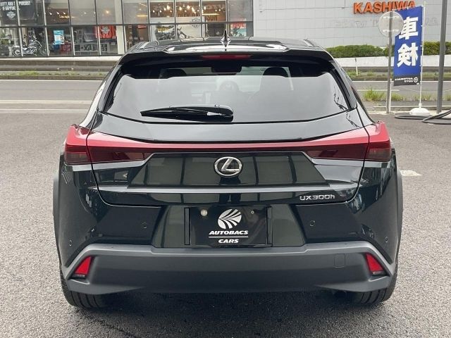 LEXUS UX300h
