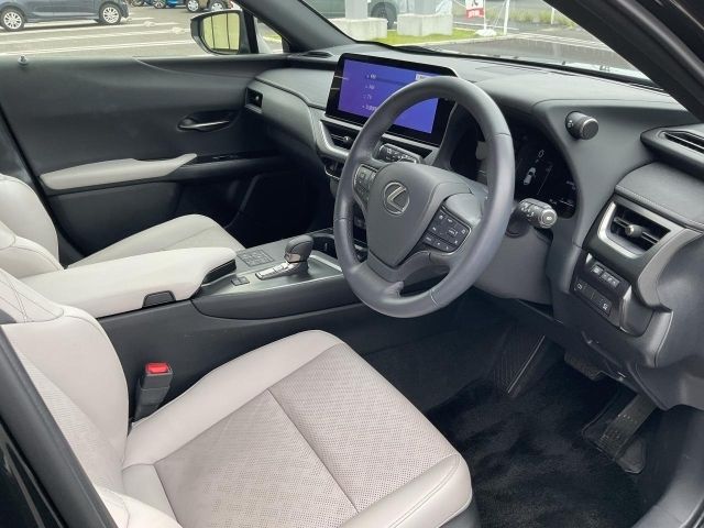 LEXUS UX300h