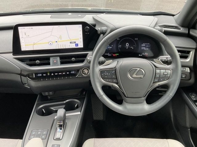LEXUS UX300h