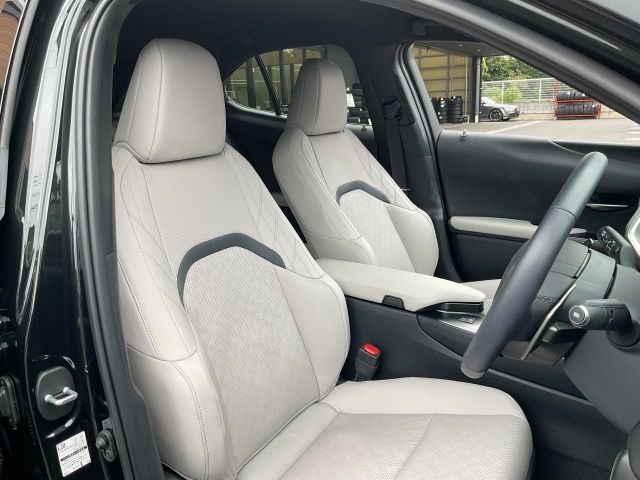 LEXUS UX300h
