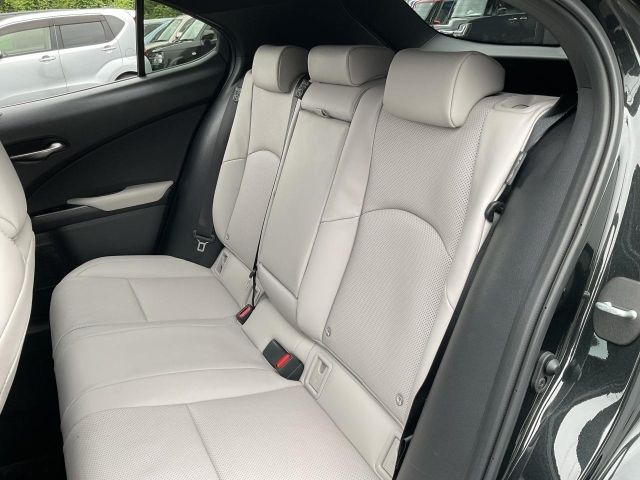 LEXUS UX300h