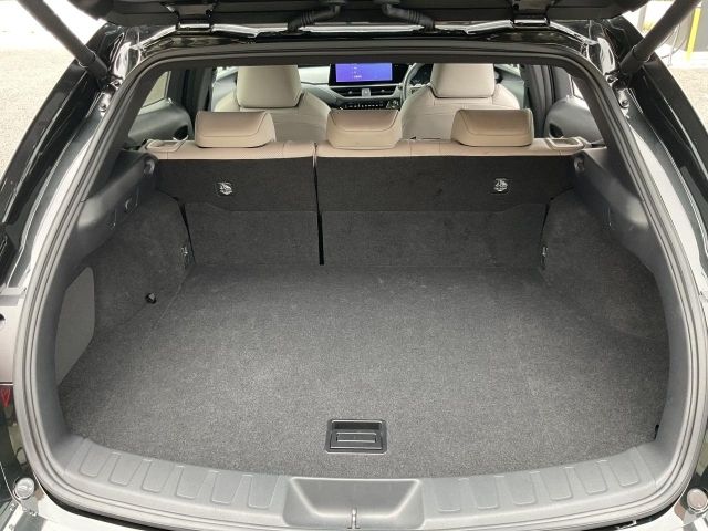 LEXUS UX300h