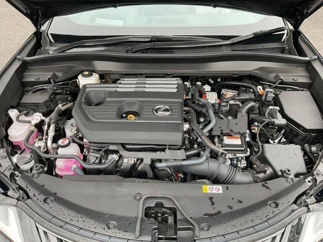 LEXUS UX300h