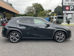 LEXUS UX300h
