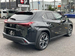 LEXUS UX300h