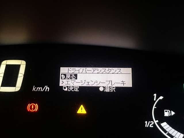 SERENA  S-HYBRID