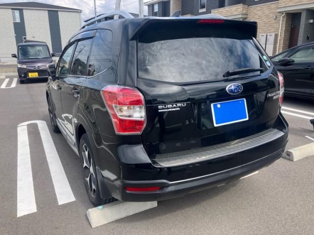 FORESTER