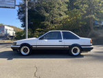 COROLLA LEVIN