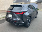 LEXUS NX350h