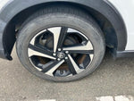 RAIZE HYBRID