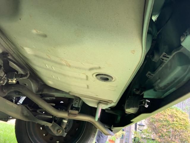 ALTO LAPIN