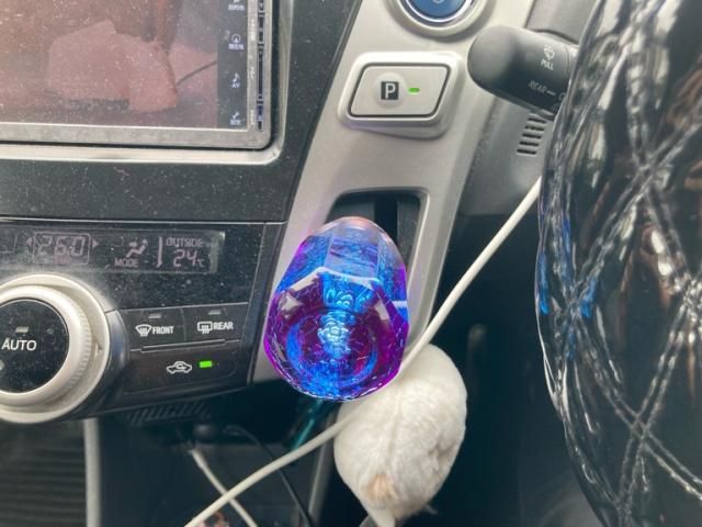 PRIUS Alpha