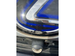 LEXUS HS250h