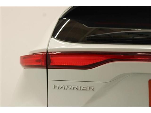 HARRIER HYBRID