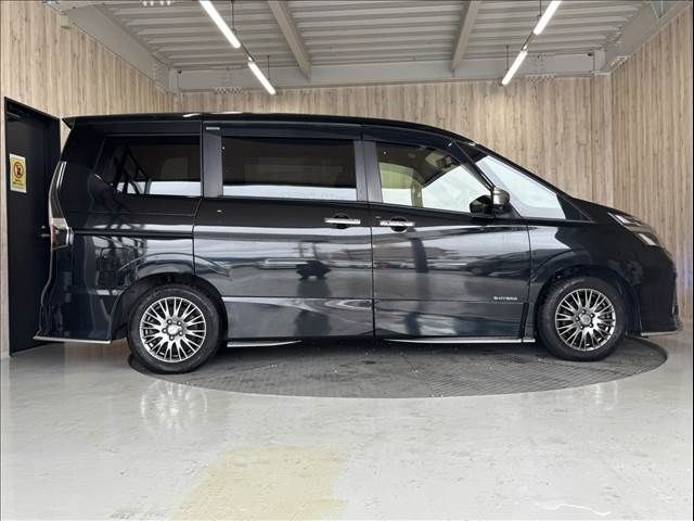 SERENA  S-HYBRID
