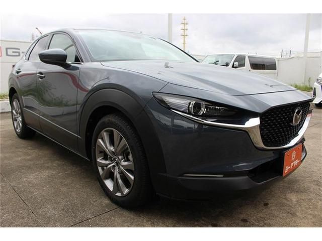 CX-30