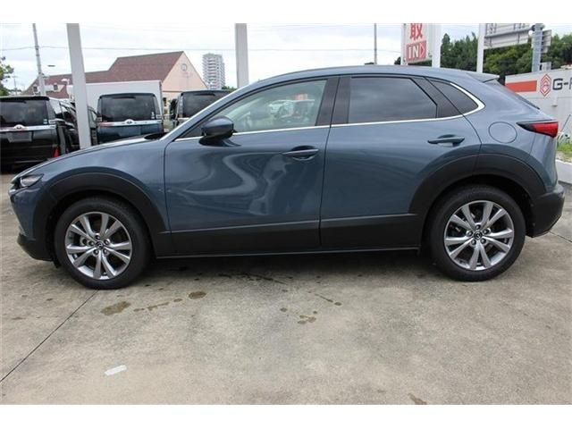 CX-30