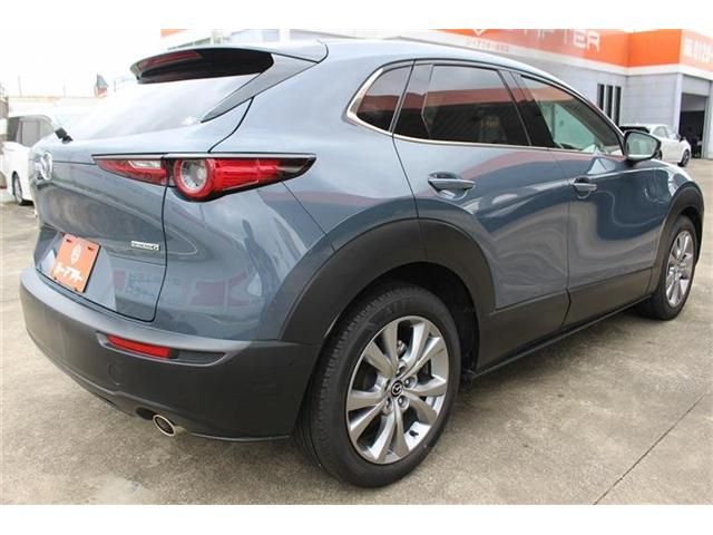 CX-30