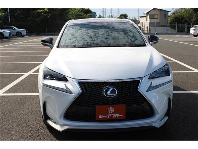 LEXUS NX300h AWD