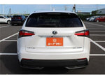 LEXUS NX300h AWD