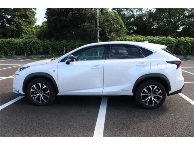 LEXUS NX300h AWD