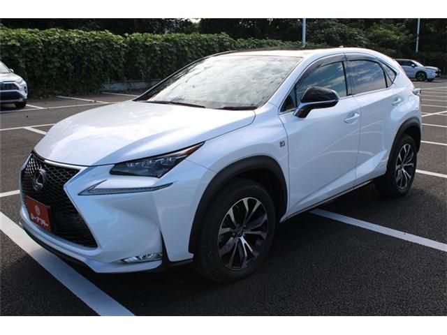 LEXUS NX300h AWD