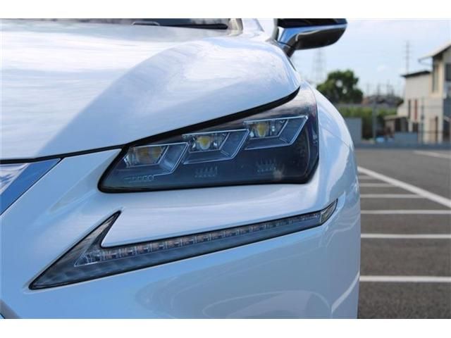 LEXUS NX300h AWD