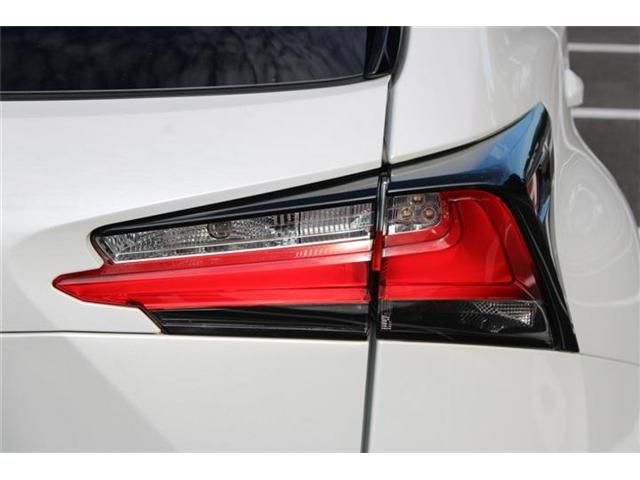 LEXUS NX300h AWD