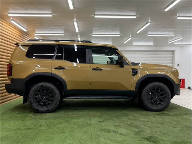 LANDCRUISER 250