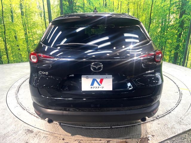CX-8