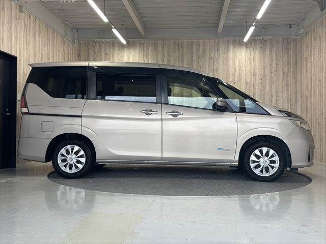 SERENA  S-HYBRID