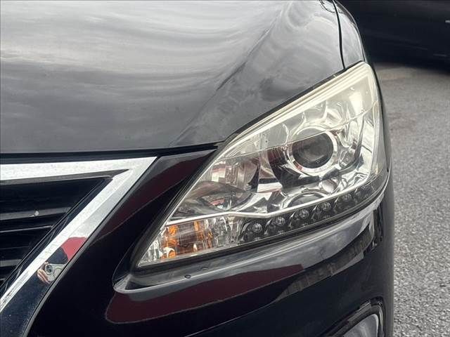 Sylphy