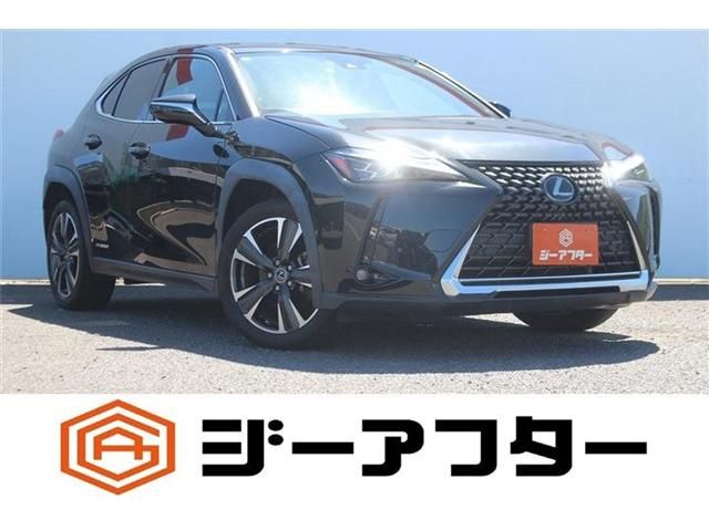 LEXUS UX250h