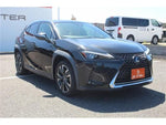 LEXUS UX250h