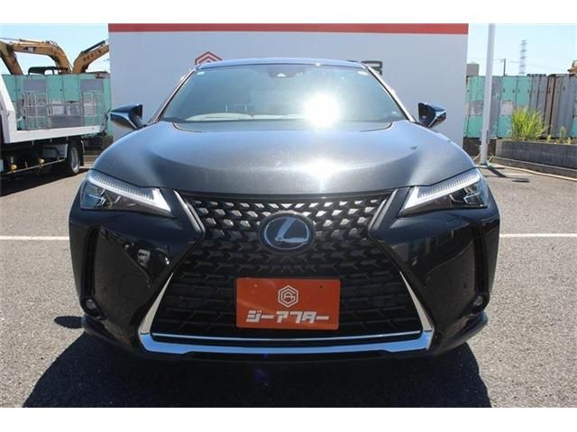 LEXUS UX250h