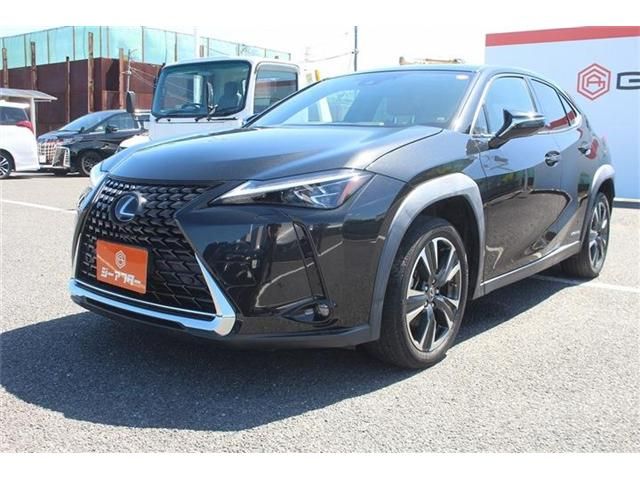 LEXUS UX250h
