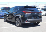 LEXUS UX250h