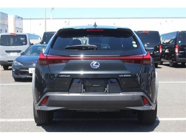 LEXUS UX250h