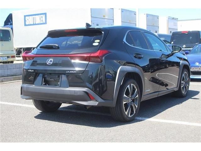 LEXUS UX250h