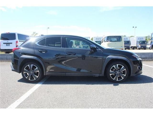 LEXUS UX250h