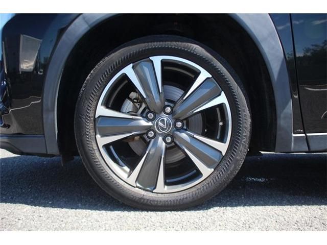 LEXUS UX250h