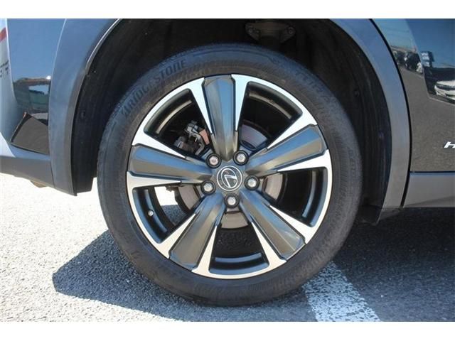 LEXUS UX250h