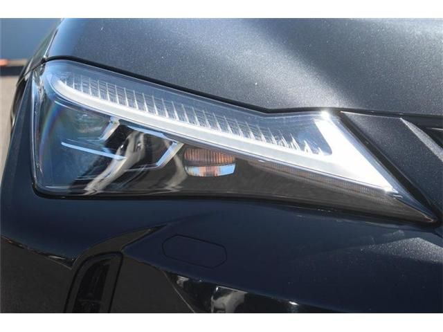 LEXUS UX250h