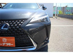 LEXUS UX250h