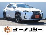 LEXUS UX300h