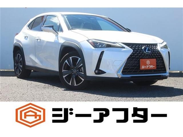 LEXUS UX300h