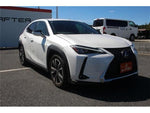LEXUS UX300h